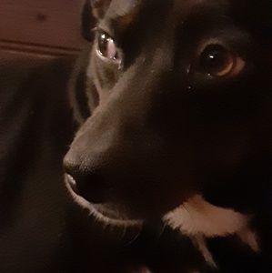 Meet your Posher, Cecilia